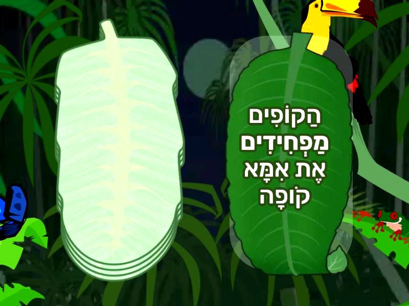 חקירות משפטיות